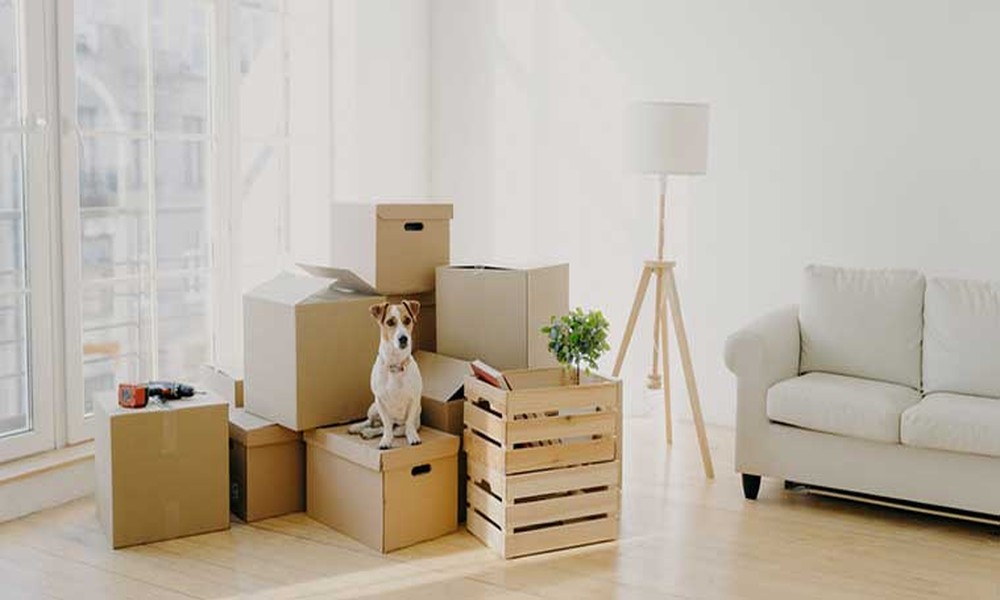 10 Reasons to Use Furniture Storage Before Renovating or Moving